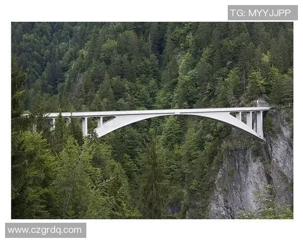 李安：跨越文化与艺术的桥梁，探索电影语言的无限可能性