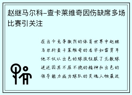 赵继马尔科-查卡莱维奇因伤缺席多场比赛引关注